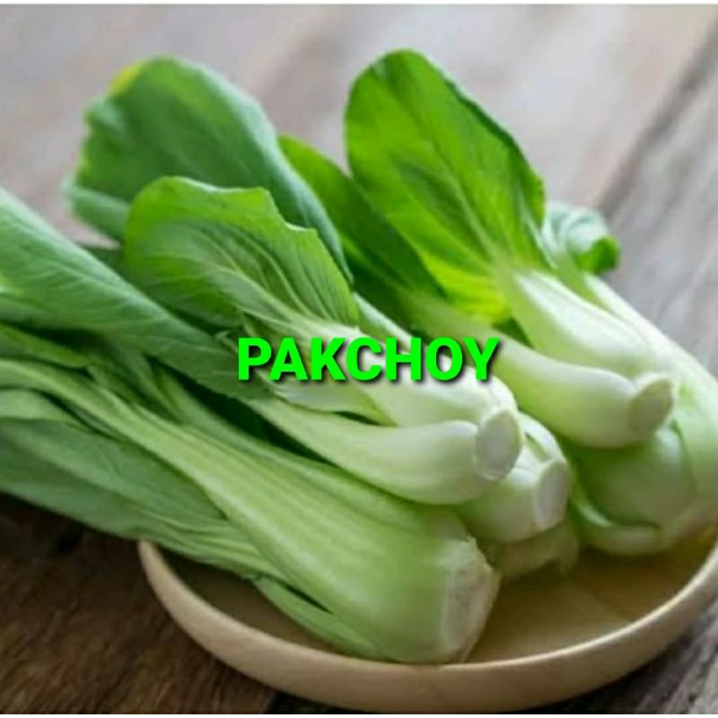 

PAKCHOY KHUSUS PARA SULTAN 1 KG (PREMIUM QUALITY)