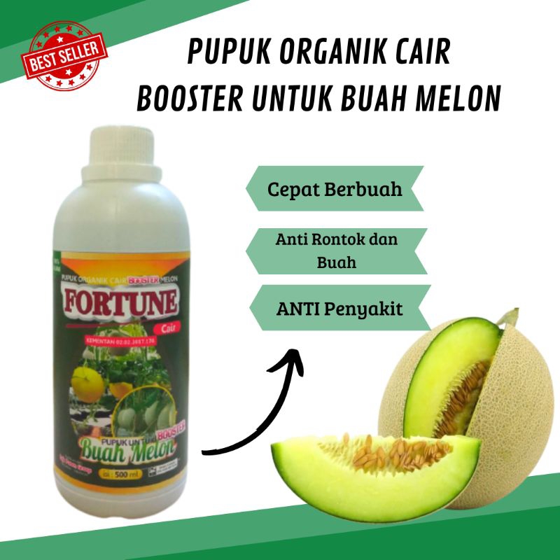 pupuk melon cepat berbuah lebat, booster melon organik pemicu buah dan penyubur buah melon