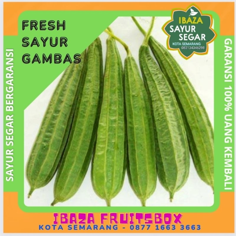 

Sayur Gambas Sayur Oyong