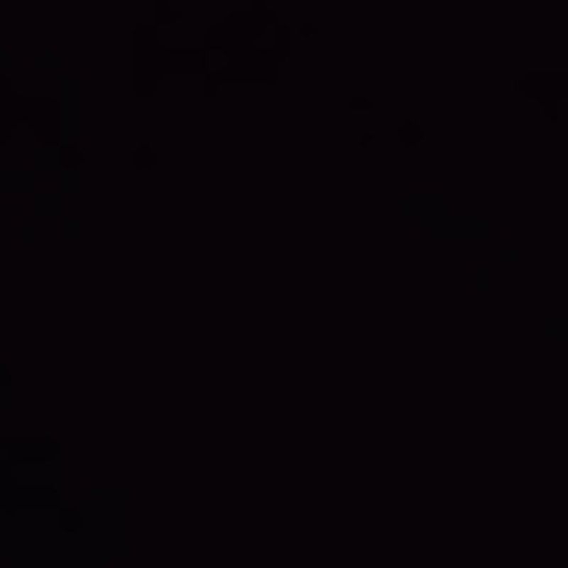 

custom fannywijaya t6