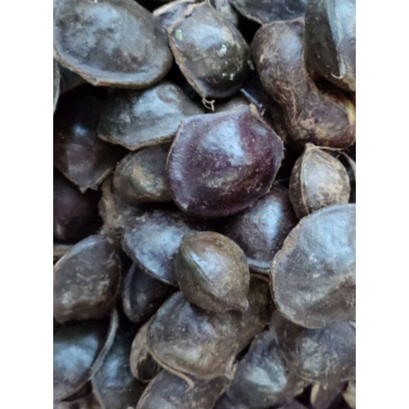 

Jengkol Kulitan/Jengkol Tambah Napsu Makan/Jengkol Enak