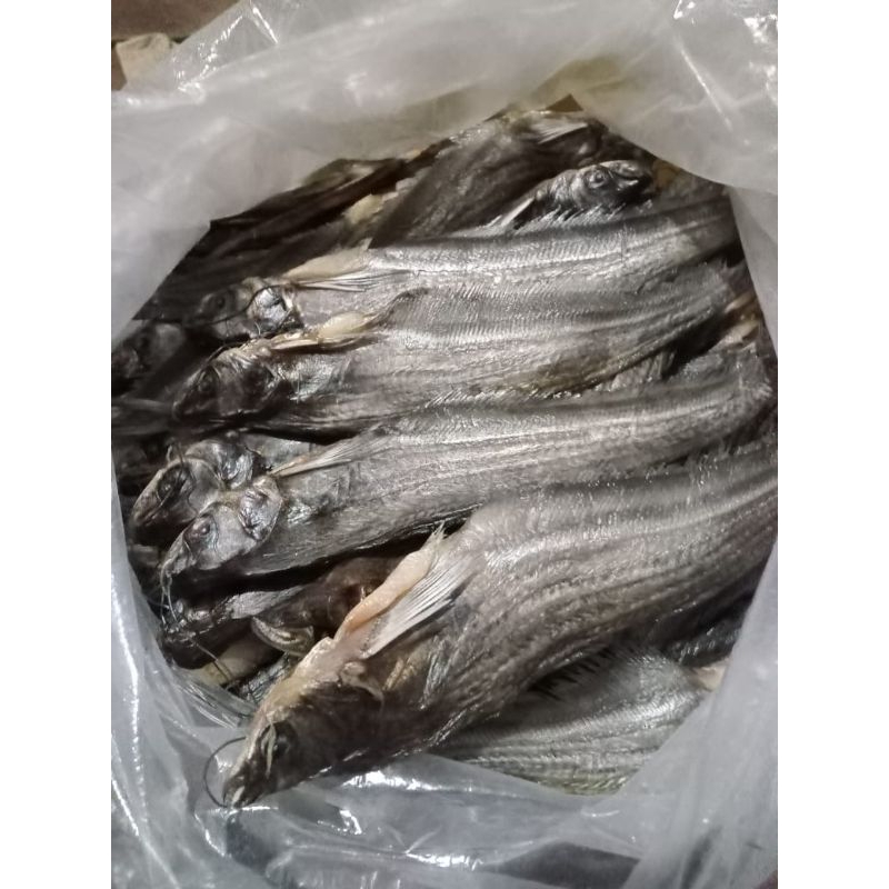 

Ikan asin lais besar