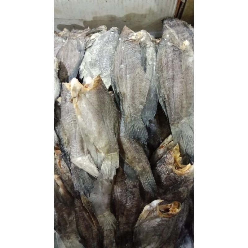 

Ikan Asin Sepat Jumbo 500gr