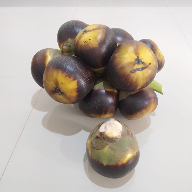 

Buah Lontar / Buah Siwalan 5 glondong isi 15 biji