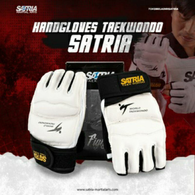 HANDGLOVES TAEKWONDO SATRIA