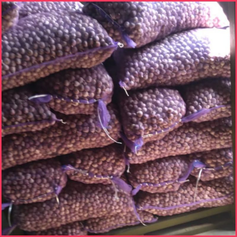 DISKON BAWANG PUTIH TUNGGAL LANANG 1 KG JUMBO SUPER - BAWANG LANANG - BAWANG PUTIH LANANG