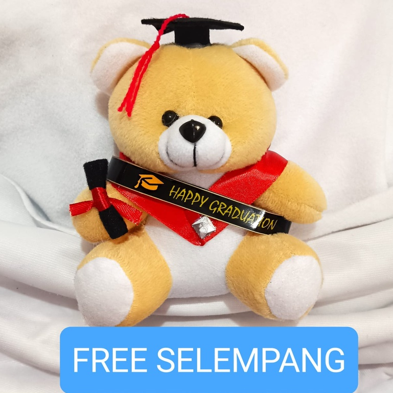 BONEKA BERUANG VELBOA / BONEKA BUKET / BONEKA WISUDA