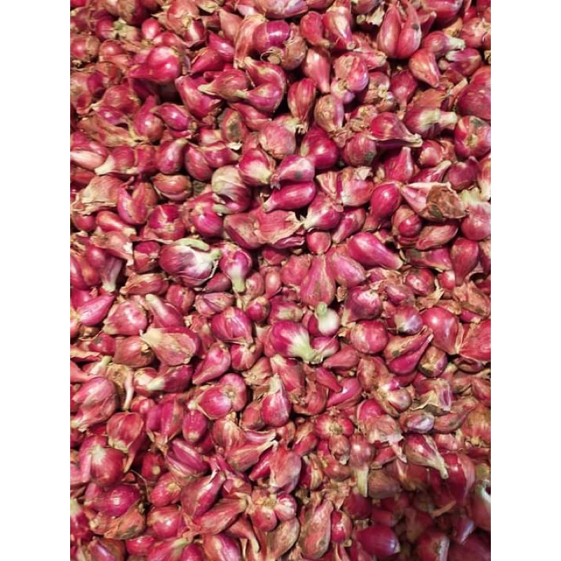 

bawang/merah-super-500gr