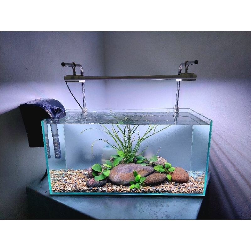 Aquascape Fullset Natural