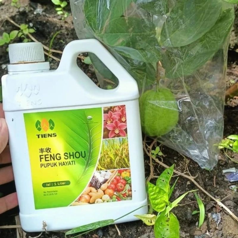 PUPUK HAYATI FENG SHOU