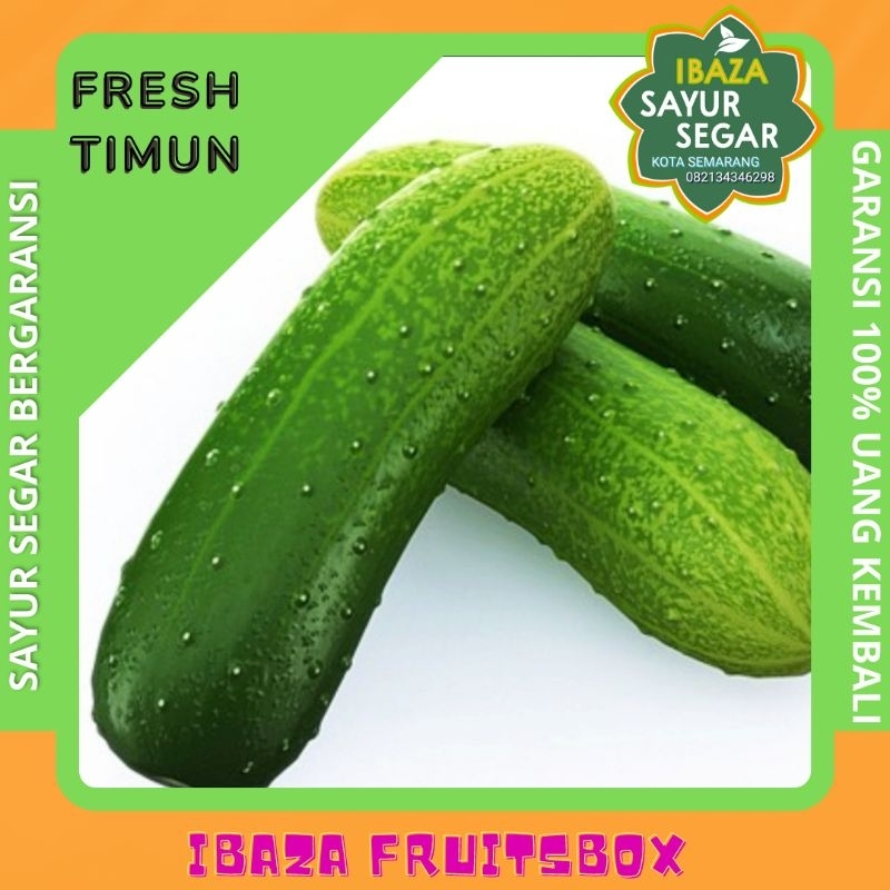 

Sayur Timun Mentimun