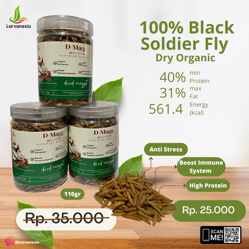 Pakan Magot Kering Larva BSF D-Magg Larvanesia