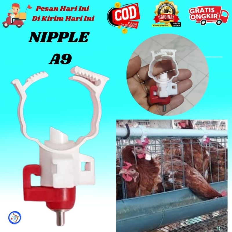 Nipel Puyuh Nipel Ayam Petelur Niplle Alat Minum Ayam Broiler  Kelinci Nipel A9 Nipel 360 Pipa 3/4" 