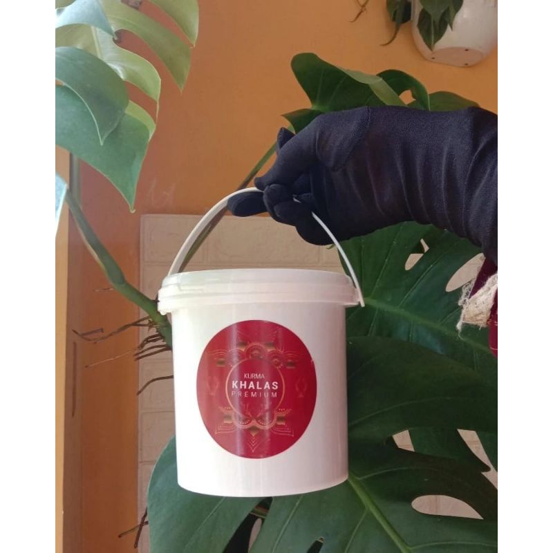 

KURMA MESIR EMBER 800g