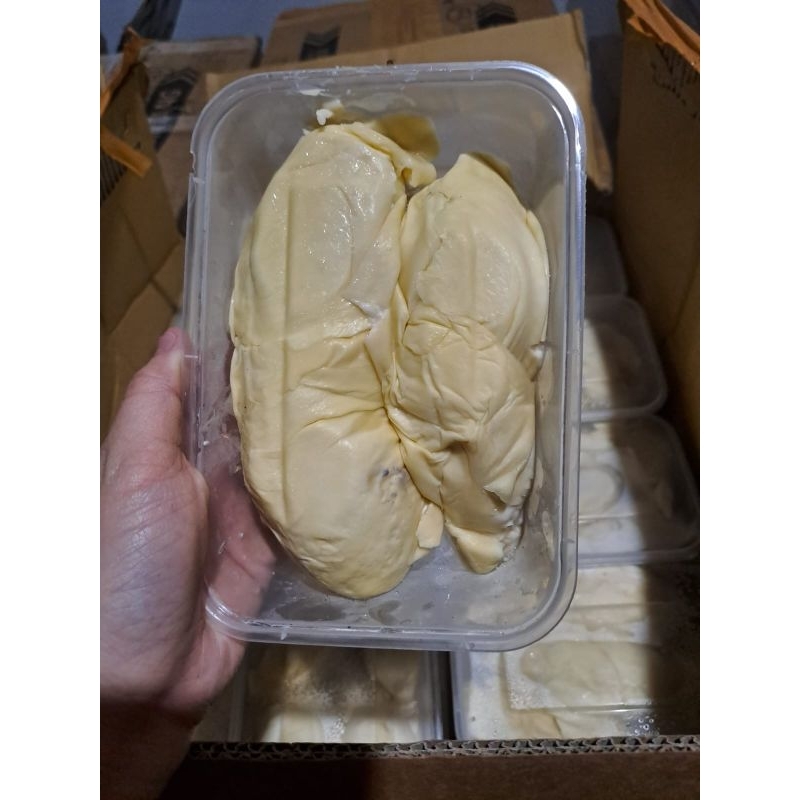 

Duren frozen medan