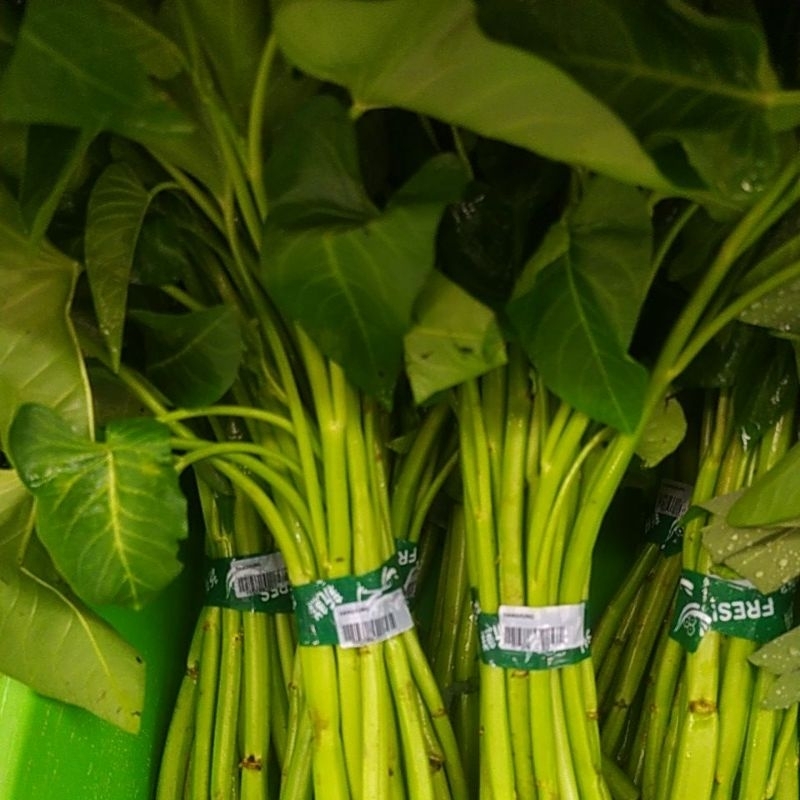 

Kangkung Sayur Segar Denpasar Bali