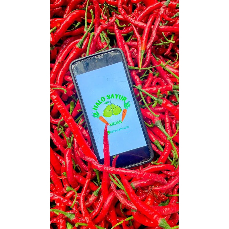 

Cabai / Cabe Merah Segar (100 gr / 250 gr)