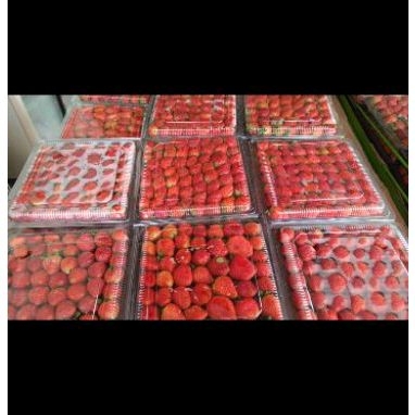 

buah strawberry / stroberi