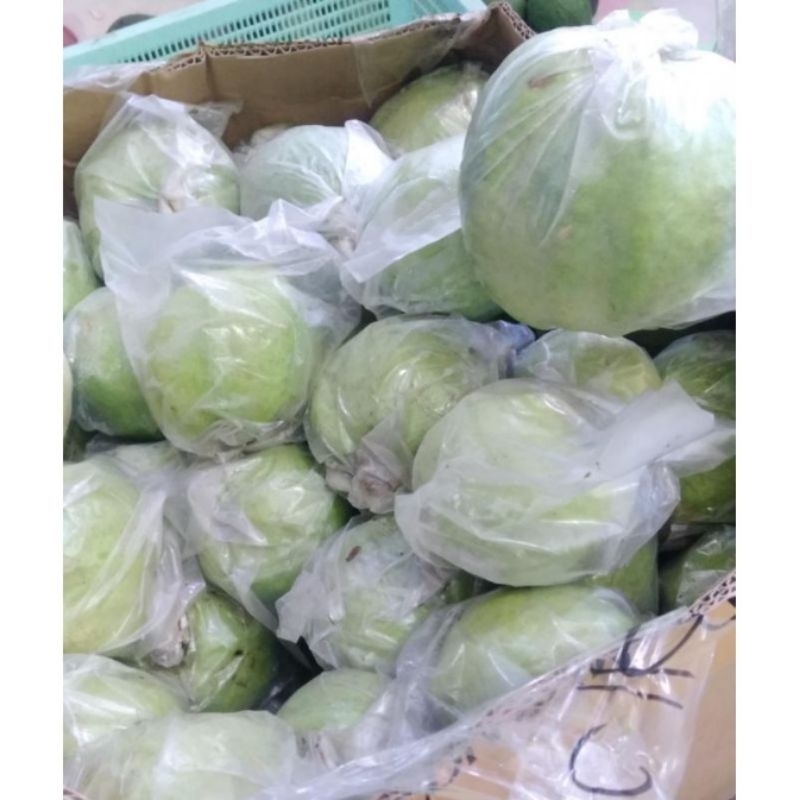 

JAMBU KRISTAL TANPA BIJI FRESH (GRAD A)