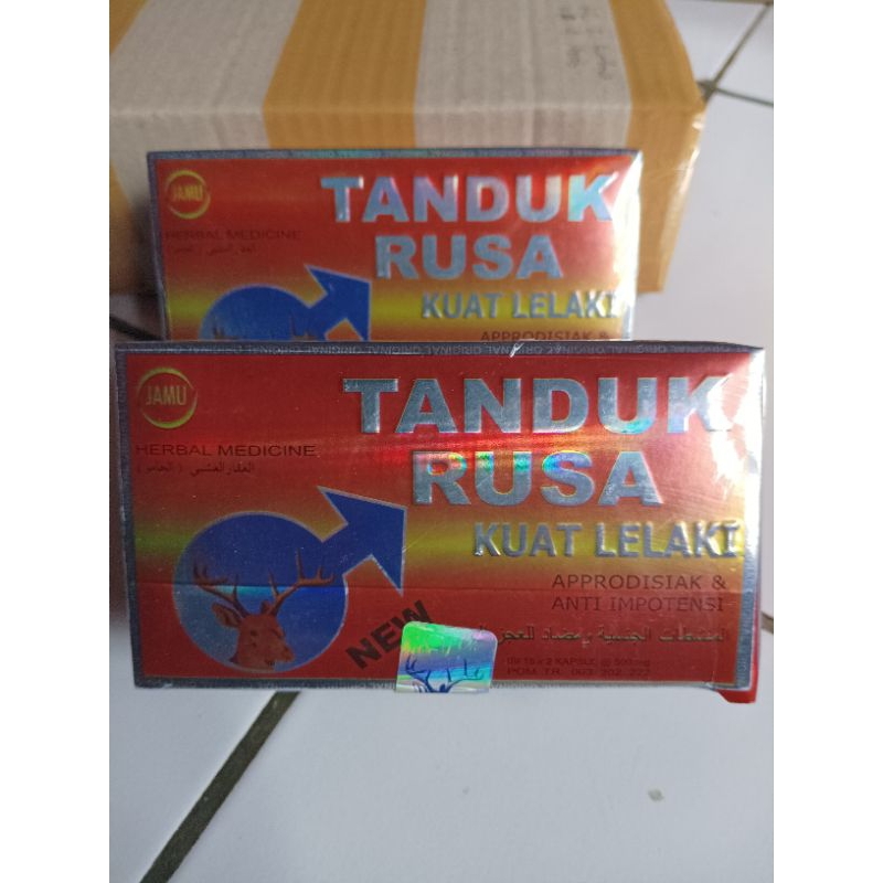 tanduk rusa kapsul tanduk malam