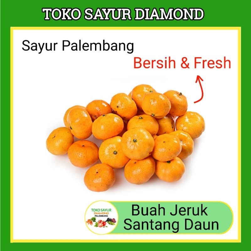 

Buah Jeruk Santang 500 Gram - Buahan Segar Online Fresh Palembang