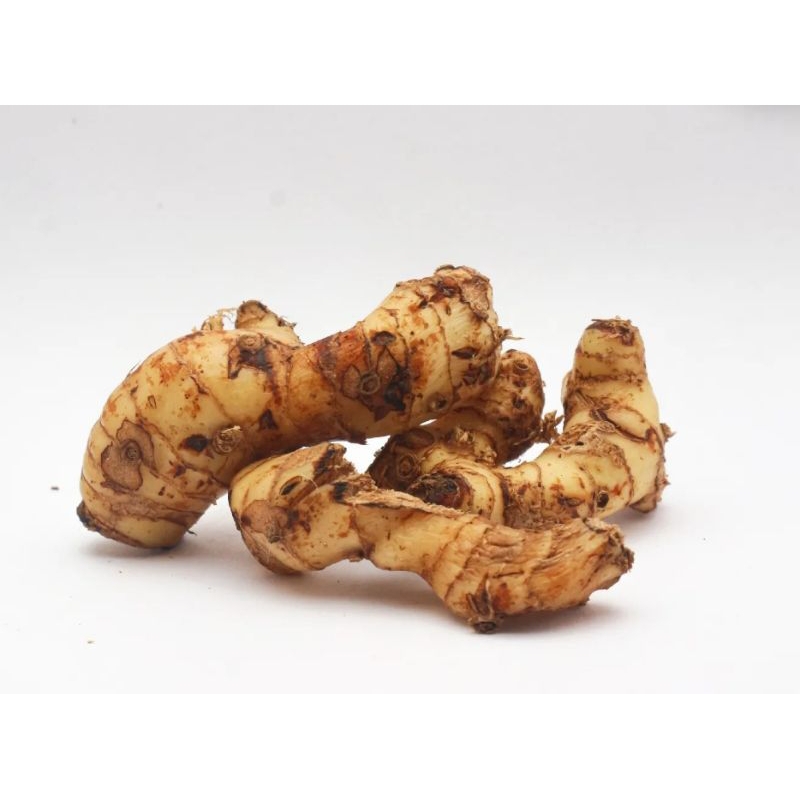 

Lengkuas / galangal