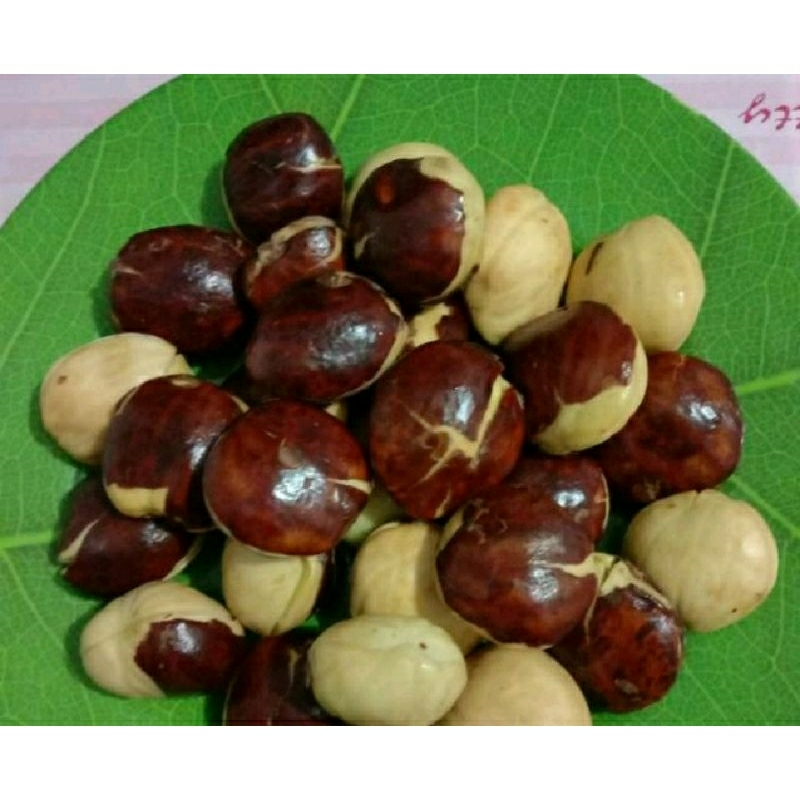 

Jengkol segar