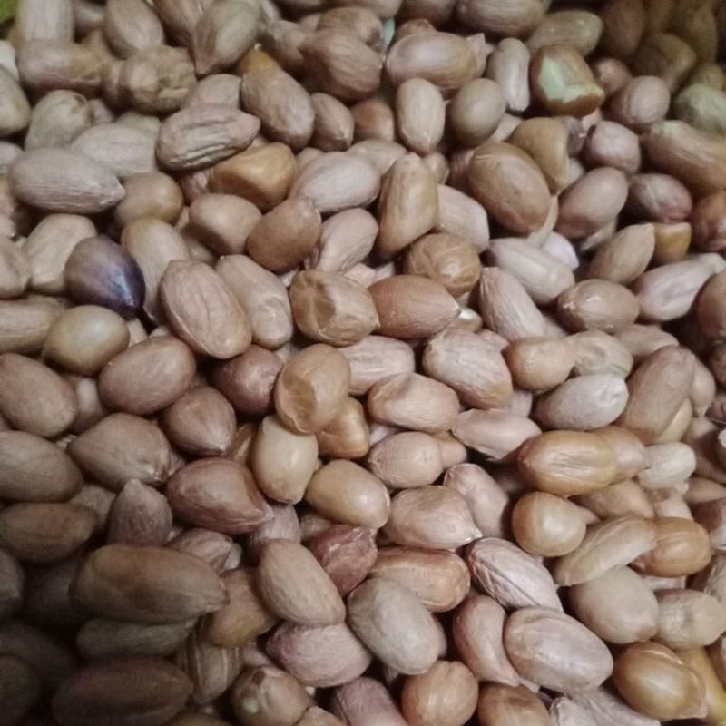 

Kacang tanah mentah,kemasan 500gram