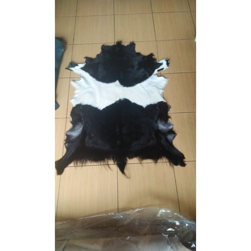 Bahan Karpet Kulit Kambing Bulu Fur Asli Jumbo