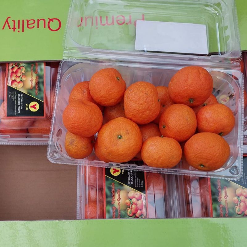 

Buah Jeruk Shatang Mandarin Shantang Santang Pack - Manis Tanpa Biji ( KHUSUS JAWA TIMUR )