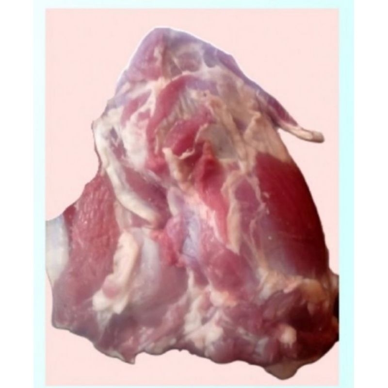 

Daging Kambing Muda Baru Fesh 1kg