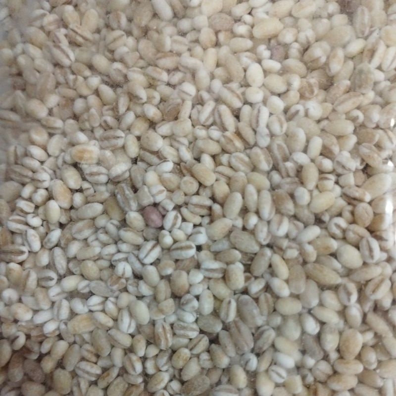 Imi / Hanjeli / Barley / Jali jali 100gr