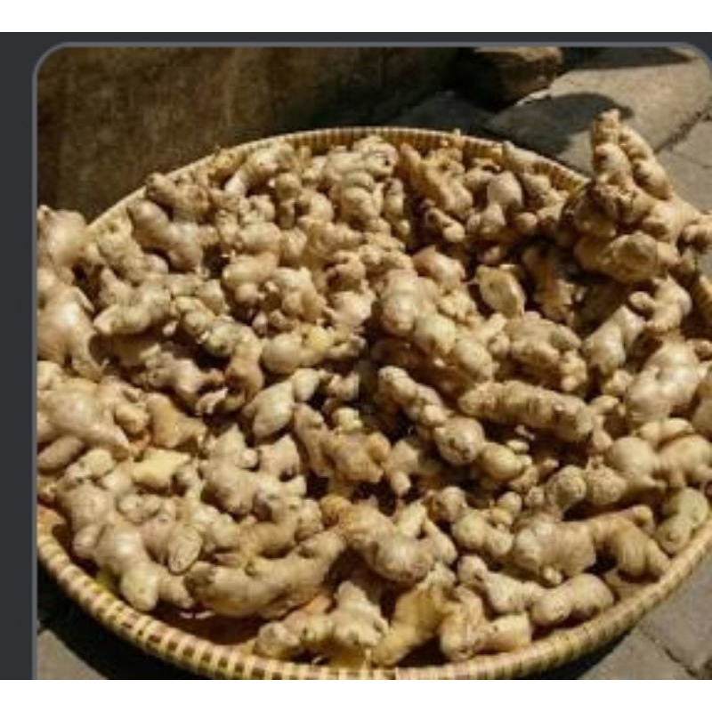 

jahe emprit kemasan 250 gr