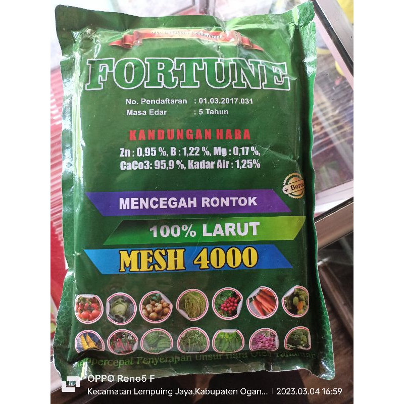 Calsium Fortune +boron