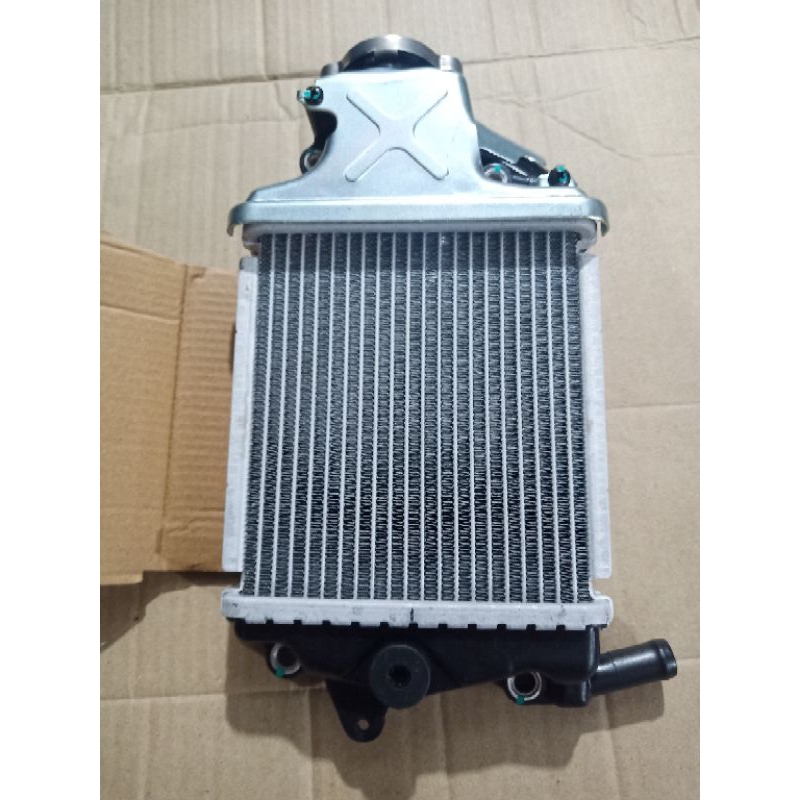 Radiator assy vario 125