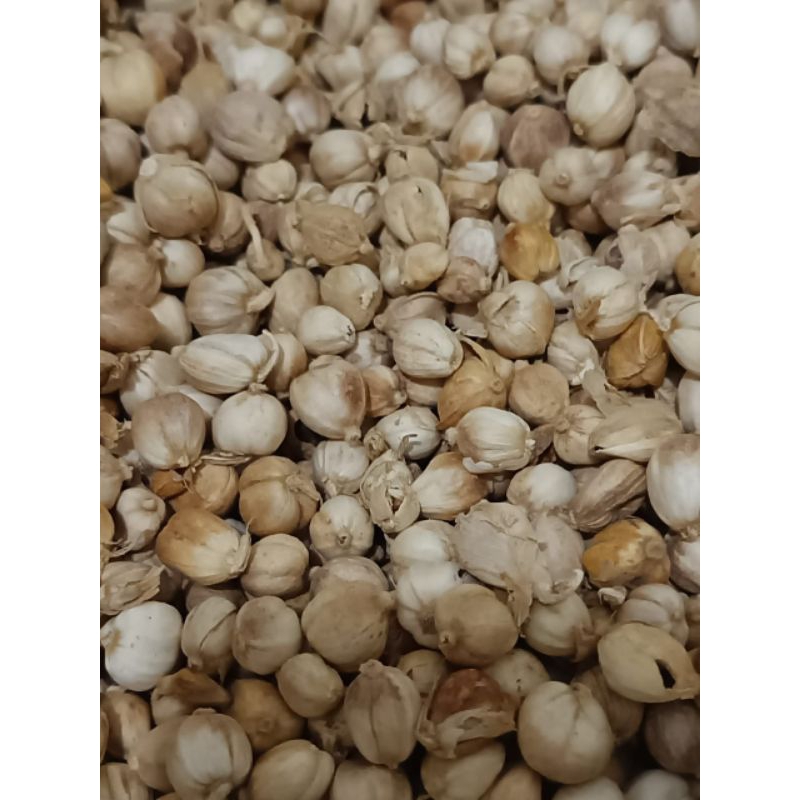 

Kapulaga putih 250gr