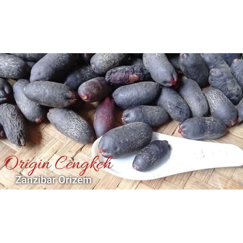 BENIH Biji Cengkeh Zanzibar Super