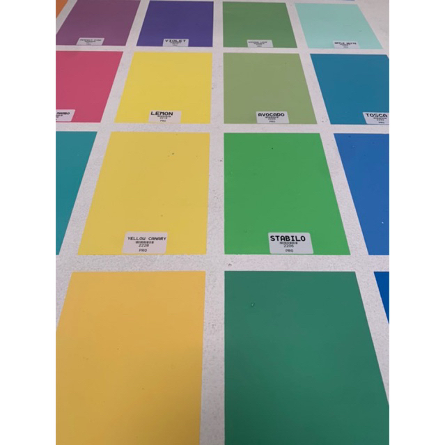 cat kiloan pro nazar paint