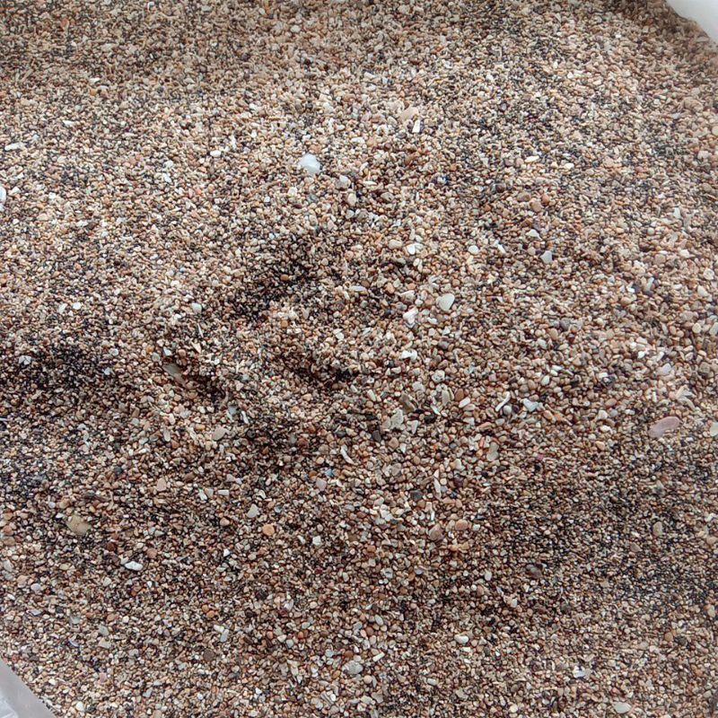pasir laut halus