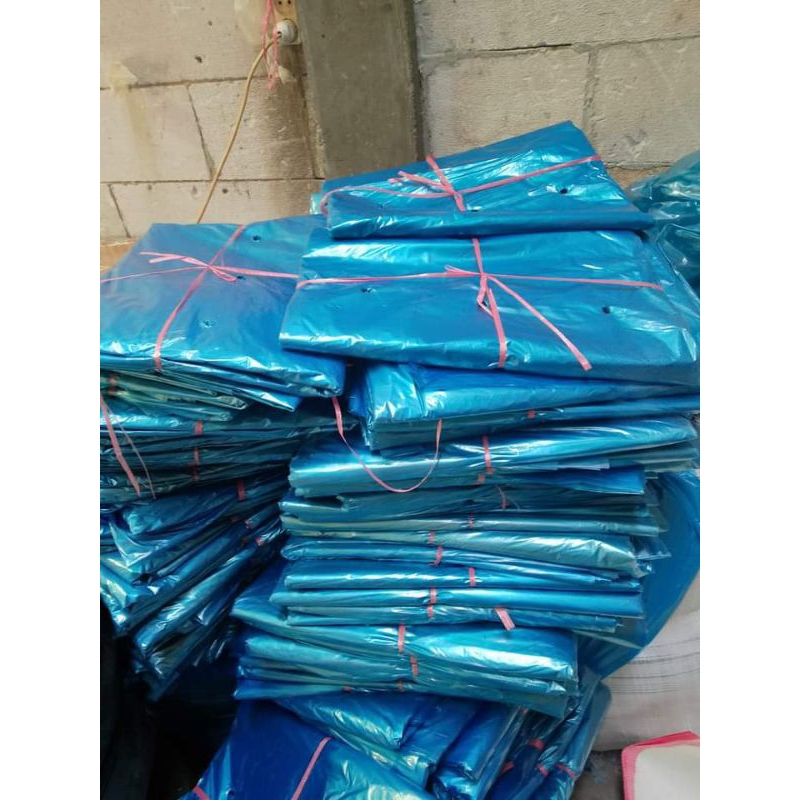 100KG BRONGSONG PISANG CAVENDISH PREMIUM SUDAH DIPOTONG BERLUBANG