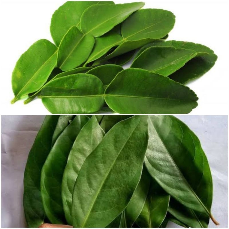 

daun jeruk/daun salam 1kg