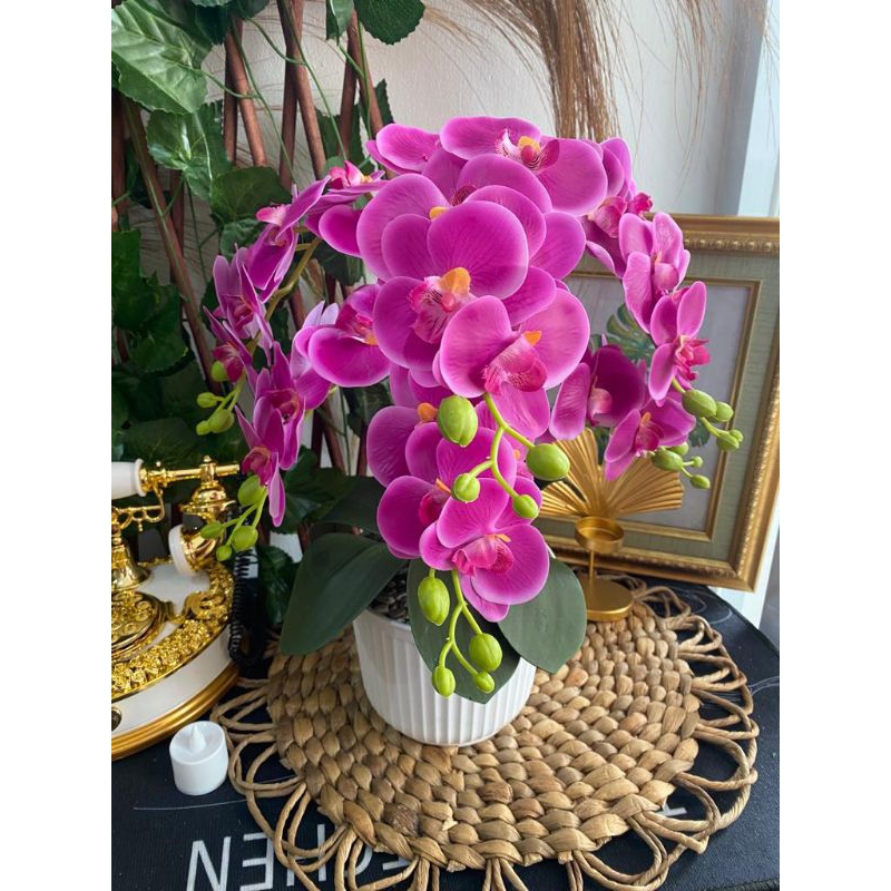 ANGGREK CABANG 6 DENGAN VAS GARIS / BUNGA ANGGREK / ANGGREK PALSU
