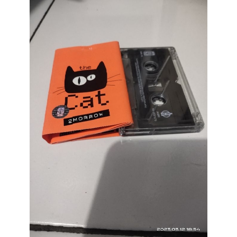 kaset pita the cat