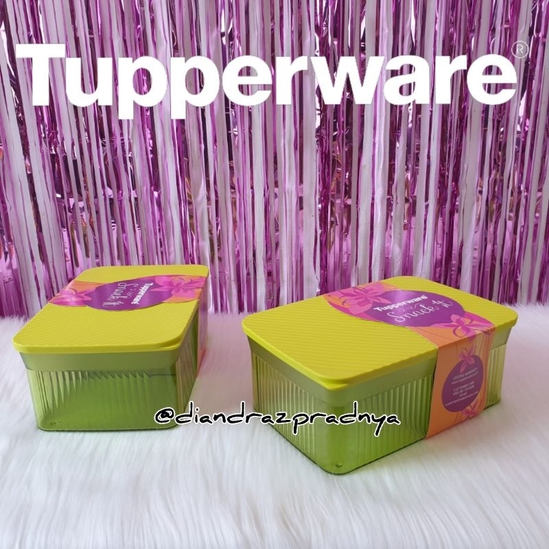 Snack It Tupperware