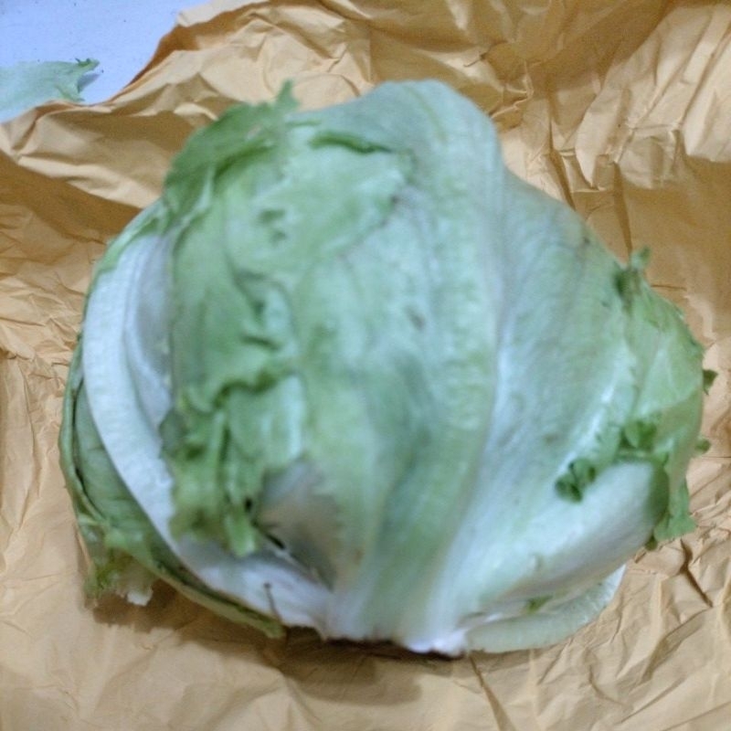 

Lettuce