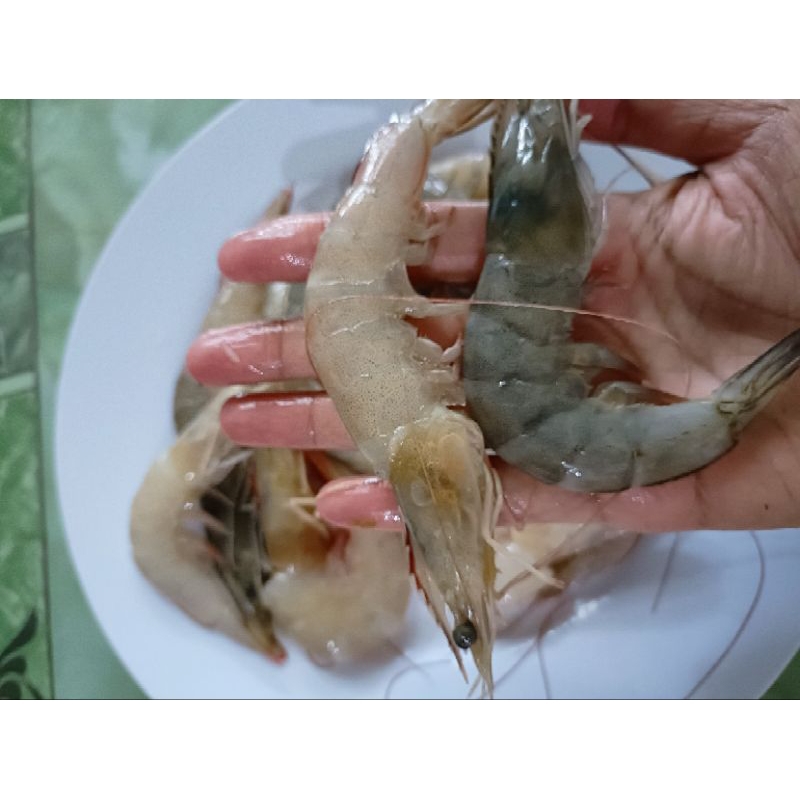 

Udang Fresh Size 60