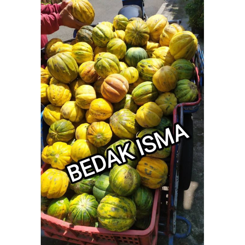 

BLEWAH SELASIH 15.000/BIJI,BLEWAH KRETEK,BLEWAH BISMA WARNA OREN DAN MANIS