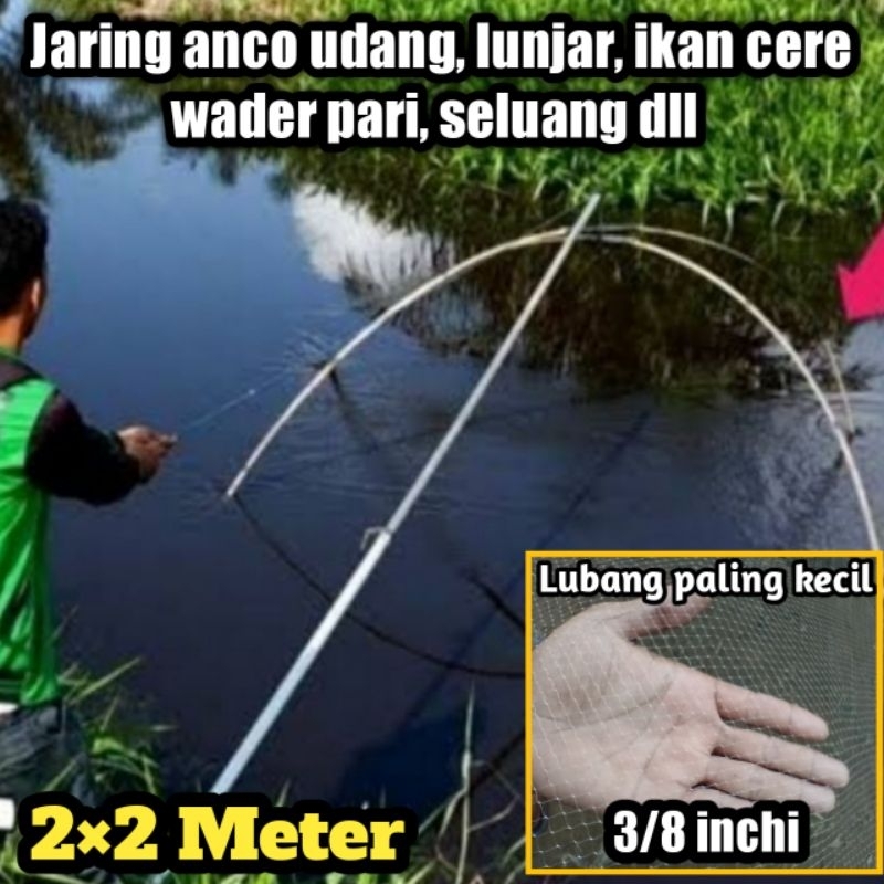 Jaring anco 3/8 inchi untuk ikan kecil & udang 2×2 meter