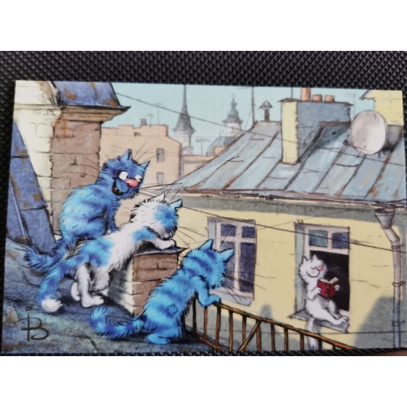 

kartu pos kucing bluecat/bluecat postcard