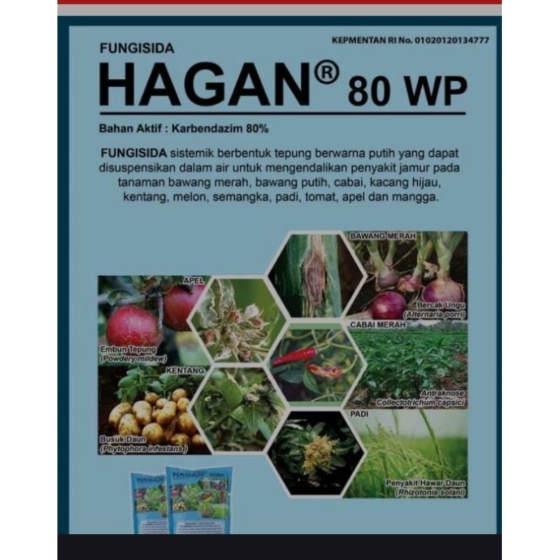 Fungisida Hagan 80 wp @200gr (bhn karbendazim)